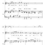 Score Sample 13
